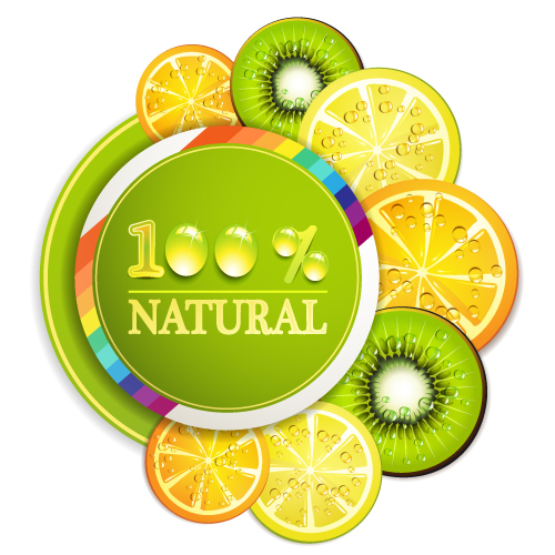 delicious fruit slices 01 vector