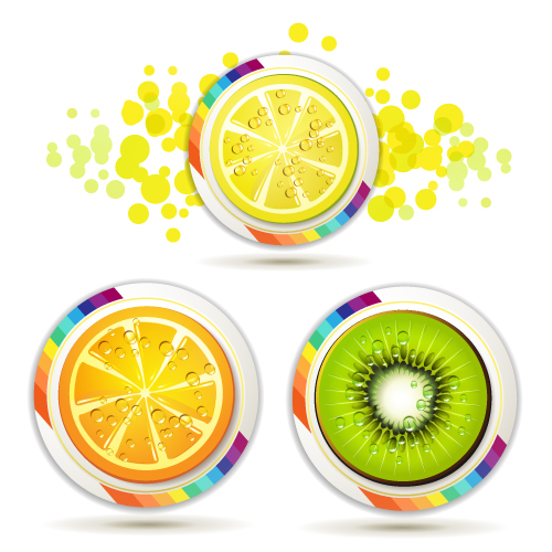 delicious fruit slices 04 vector