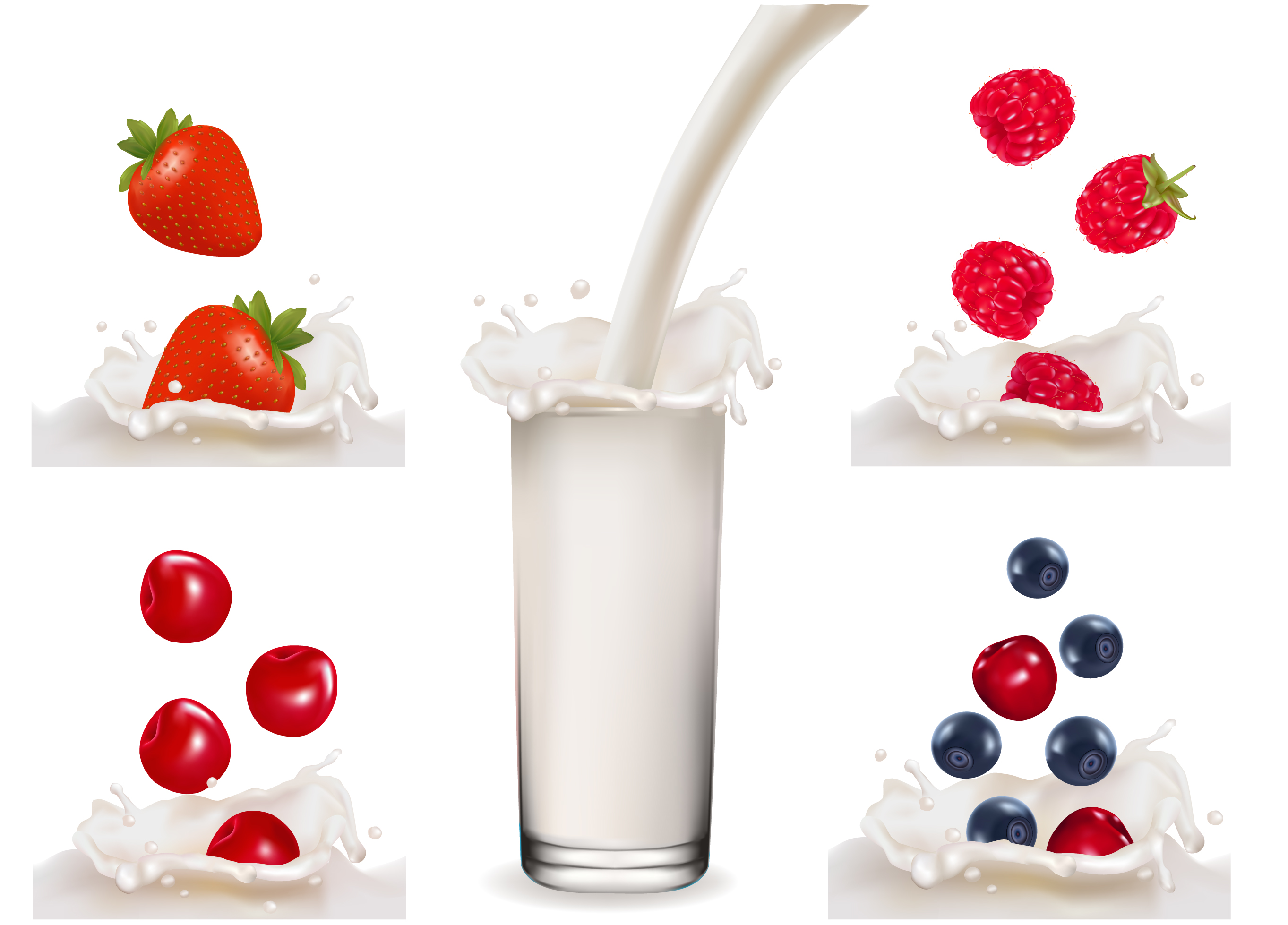 fruit milk 03 vector