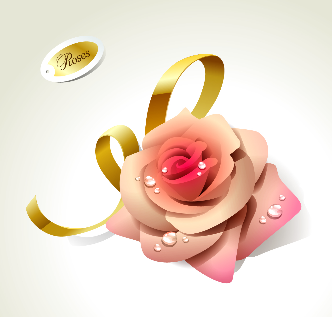 beautiful roses 01 vector