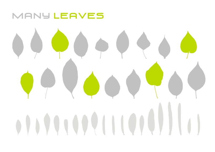 various leaves vector