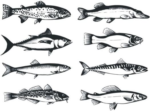 the monochrome fish vector