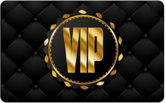 vip card 04 vector