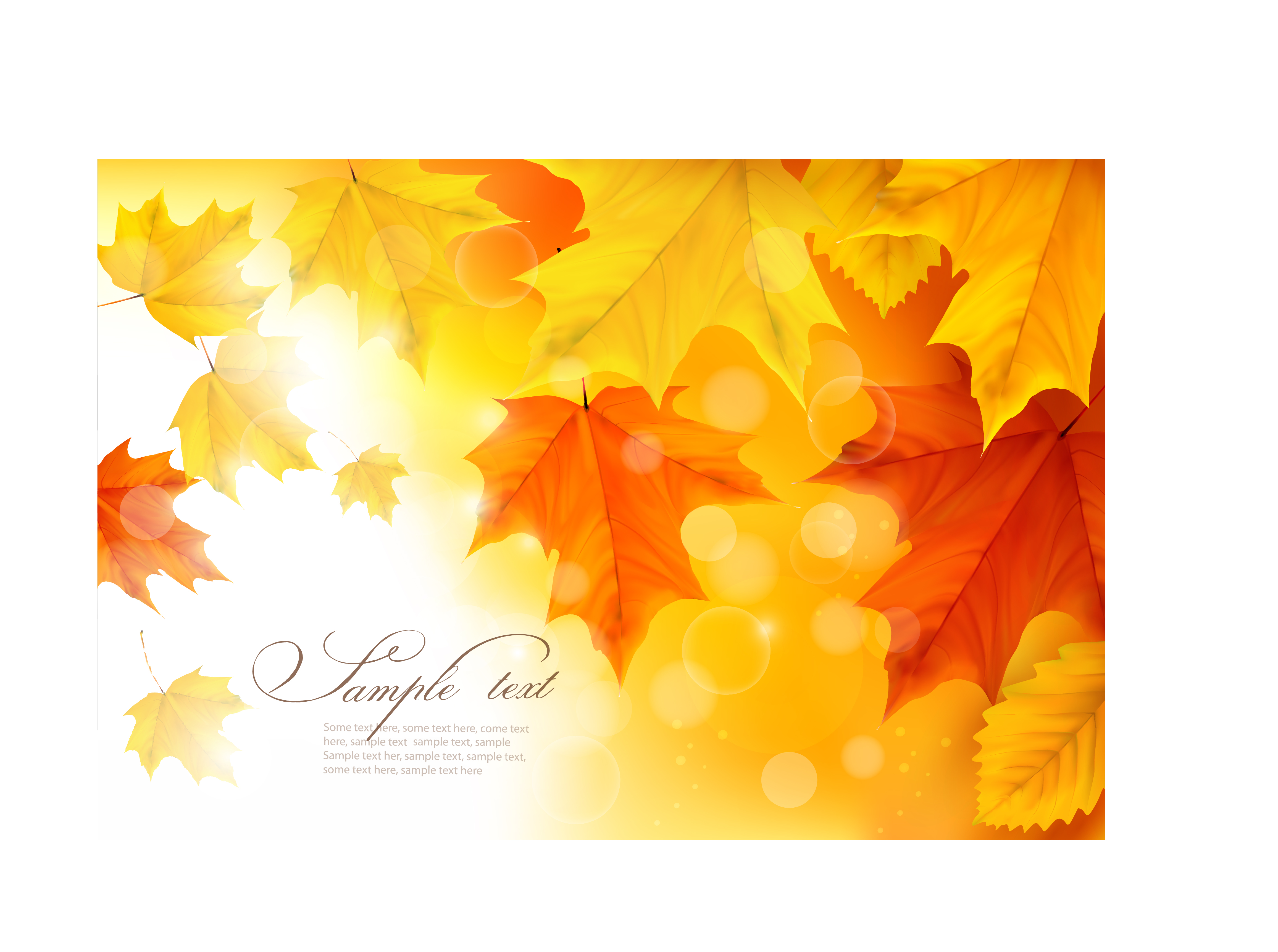 beautiful autumn leaves card 01 vector