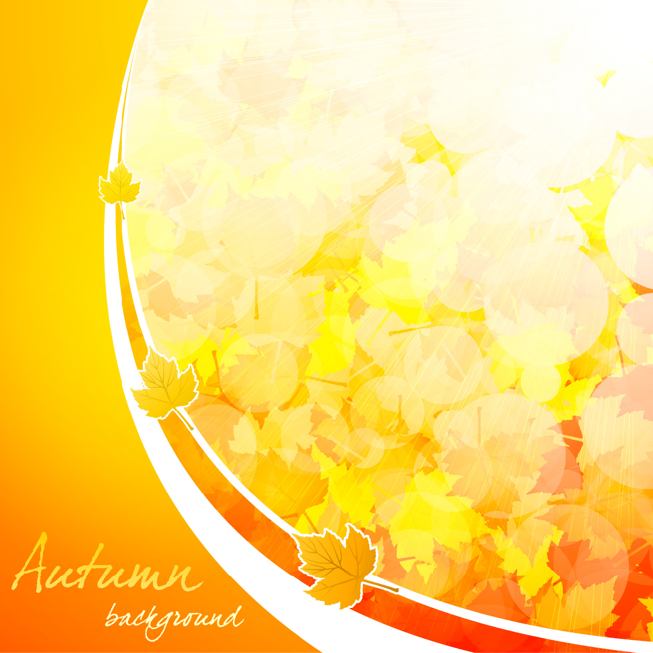 beautiful autumn background 04 vector