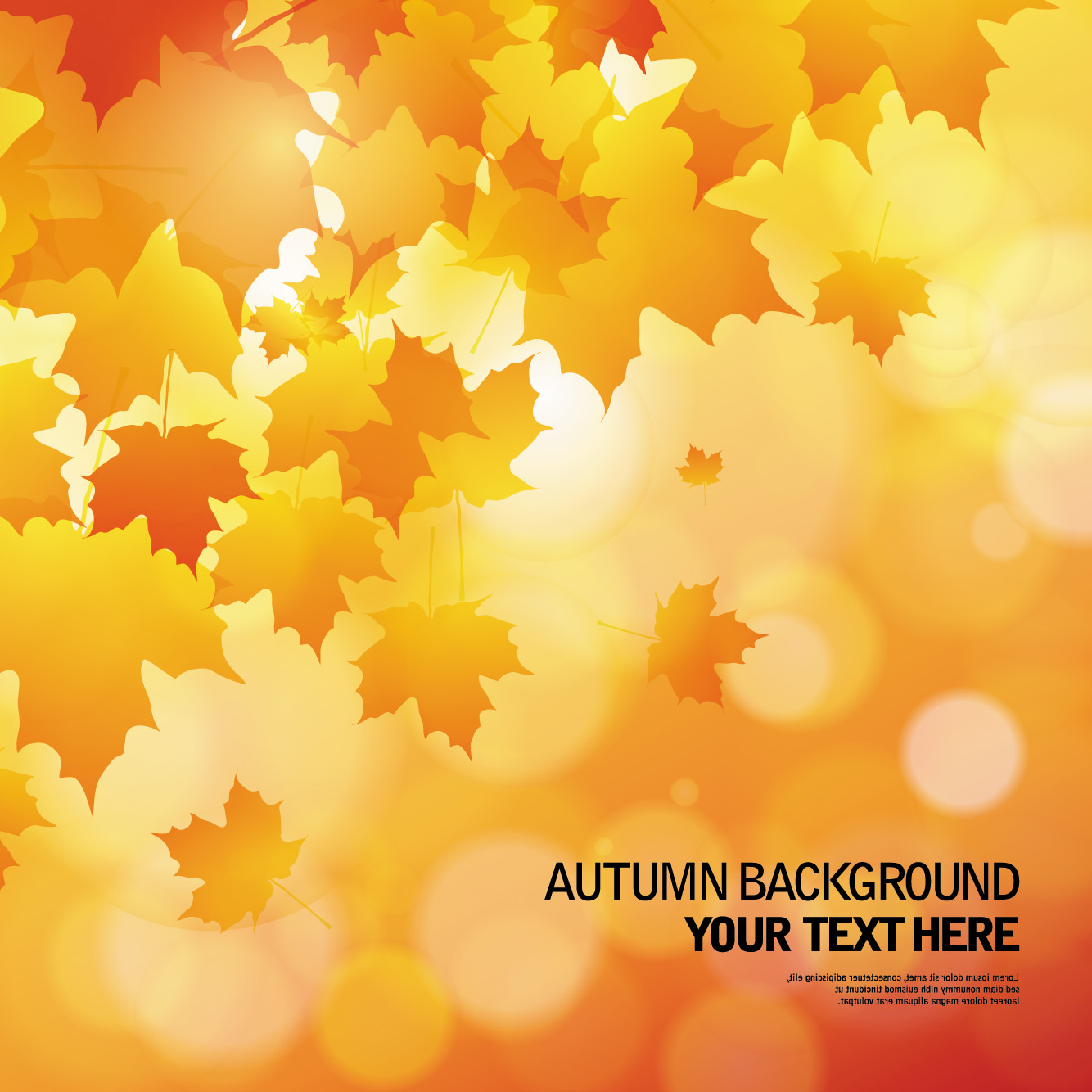 beautiful autumn background 02 vector