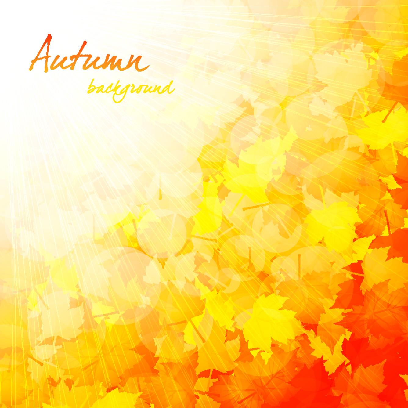 beautiful autumn background 03 vector