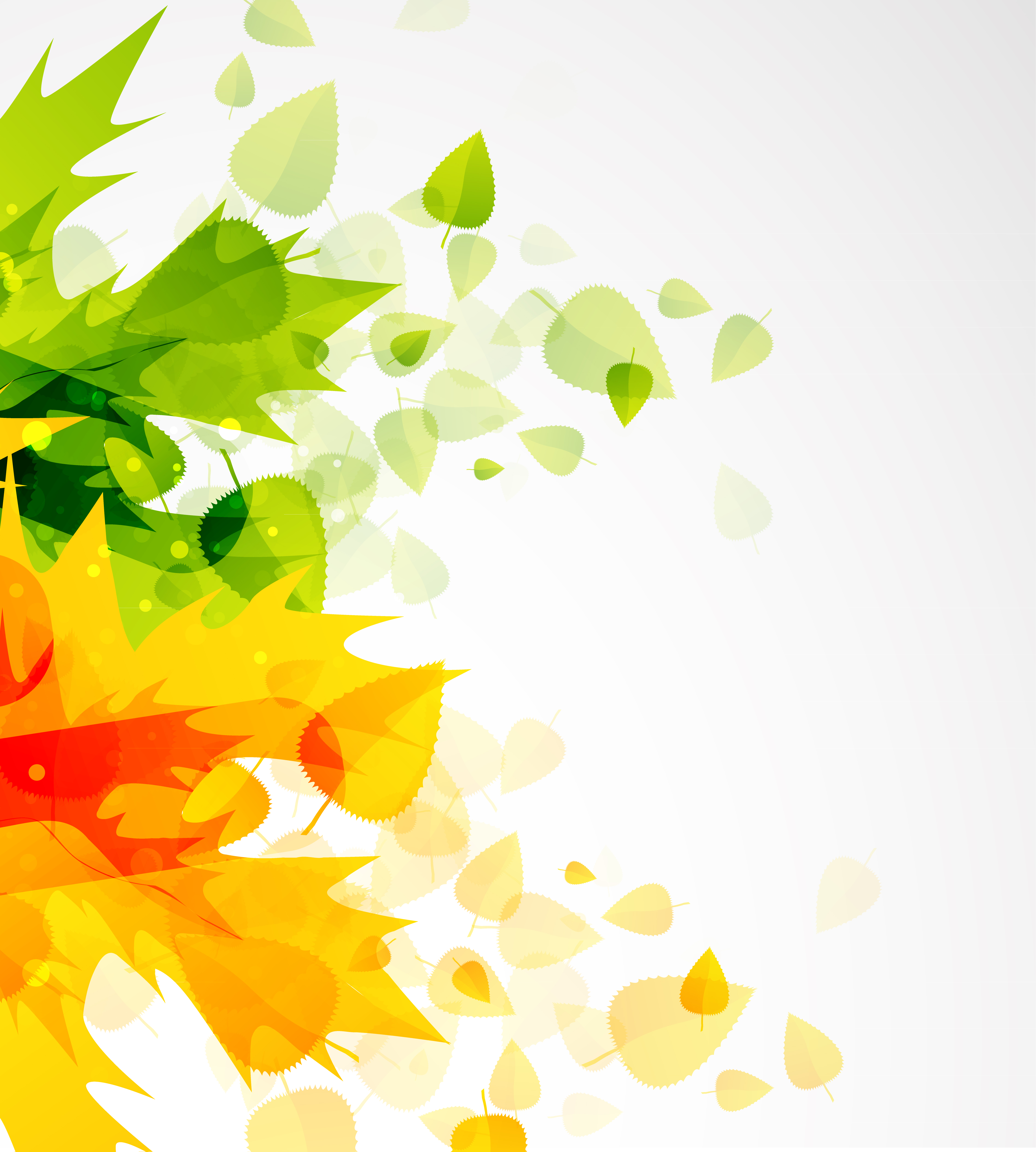 beautiful autumn leaf background 01 vector