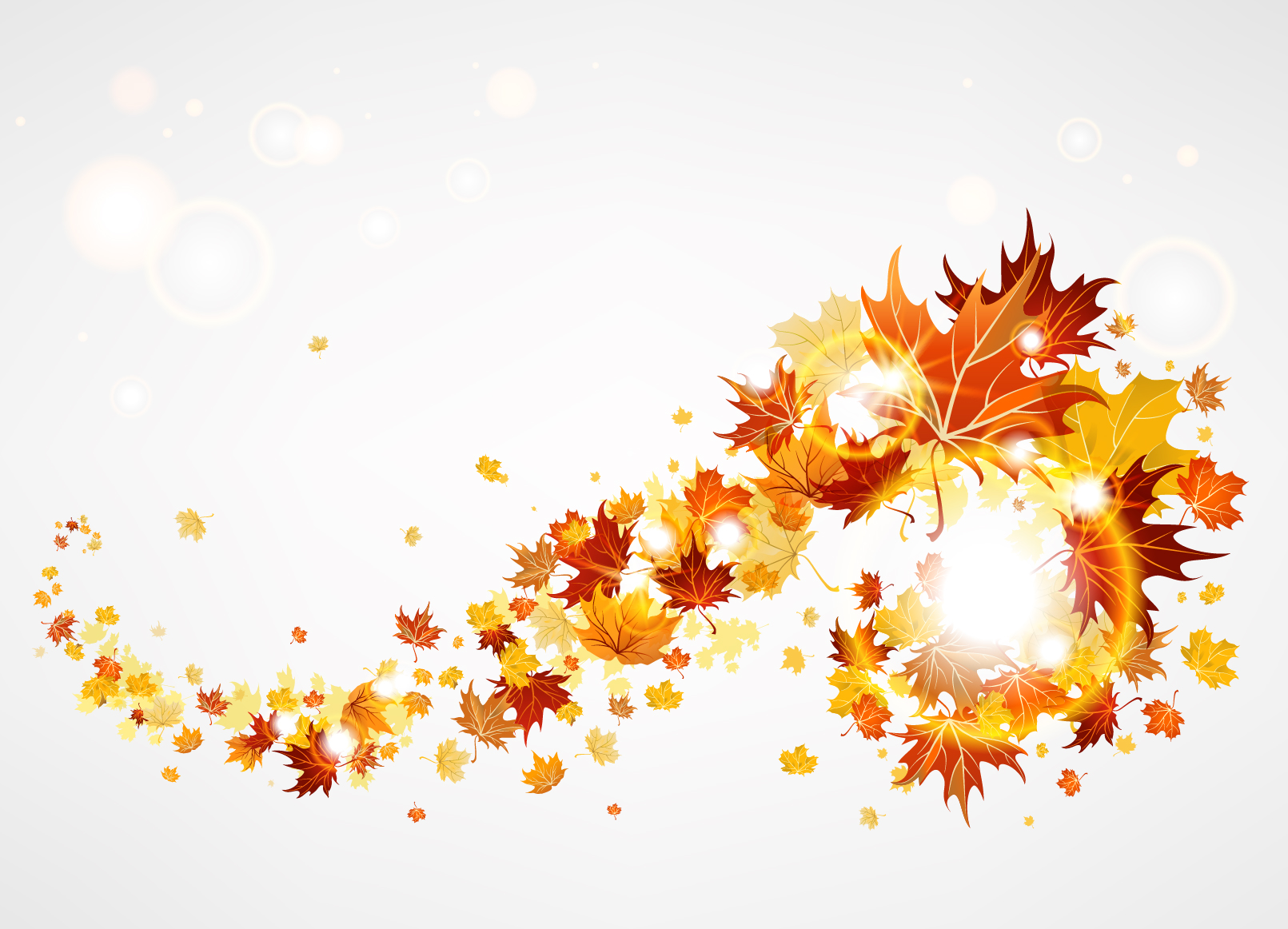 maple leaf background 01 vector