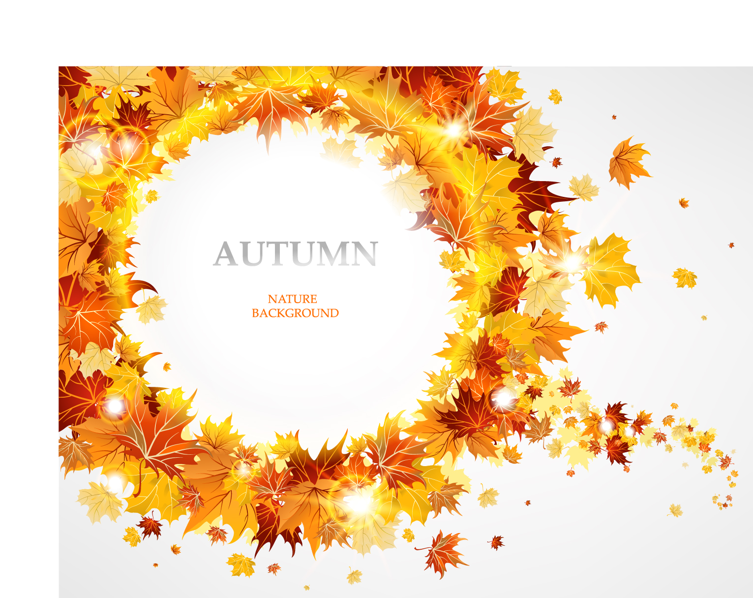 fashion maple leaf background 02 vector