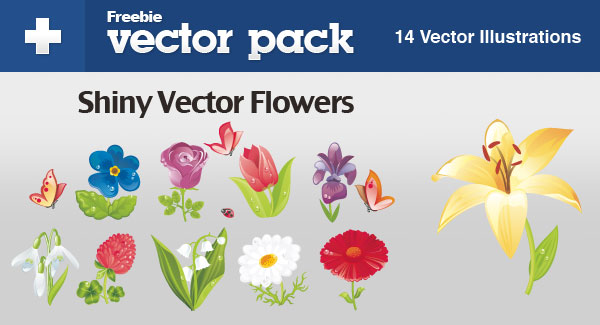 beautiful flowers vector