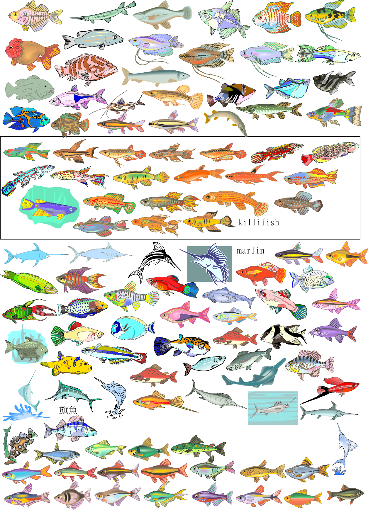 fishes icons collection various colorful types