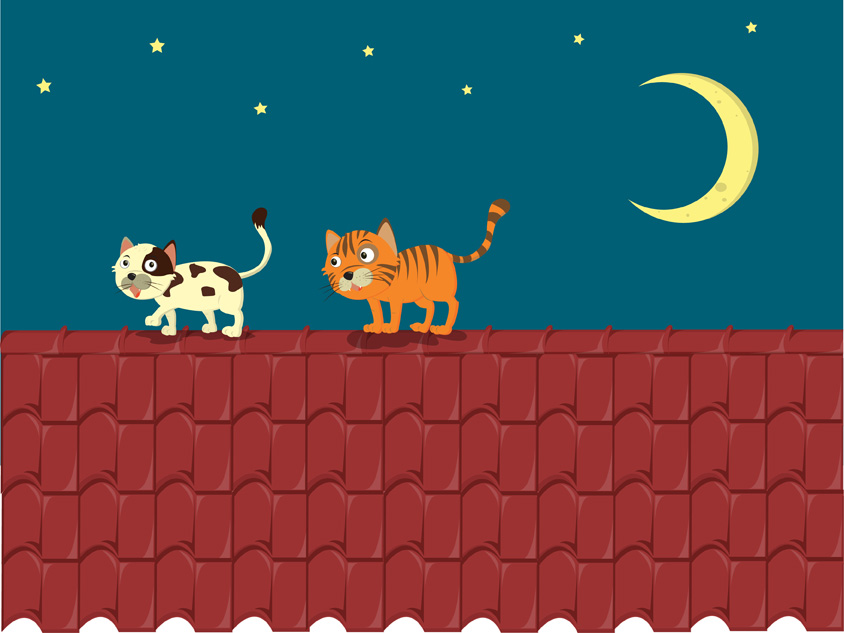 vector cat on the roof