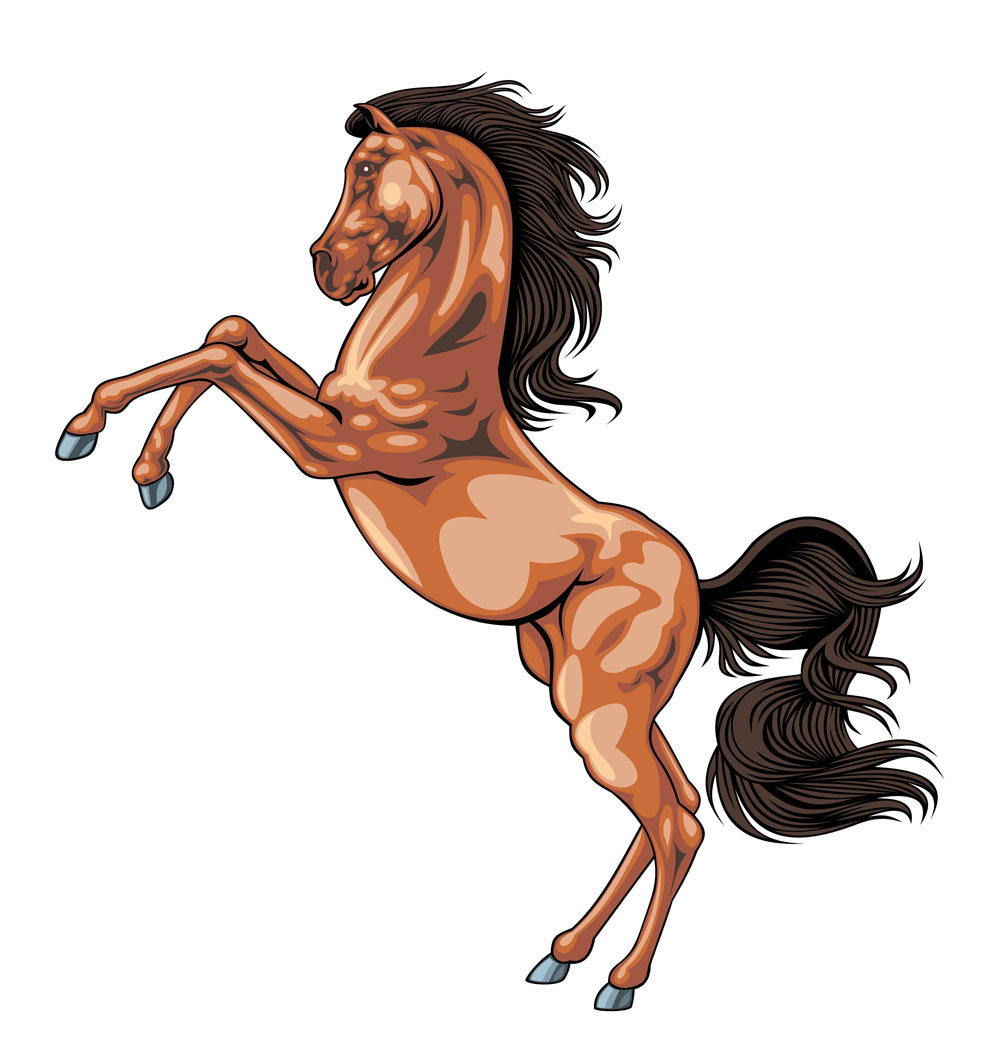 horse 01 vector