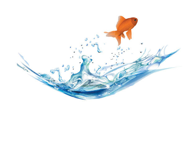 goldfish vector 5