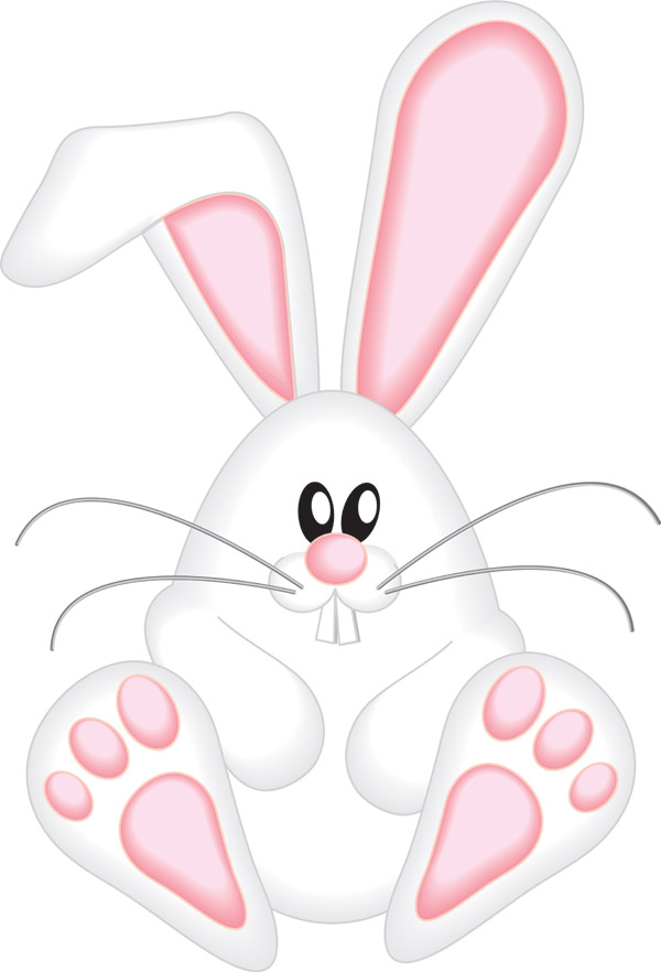 vector cute rabbit