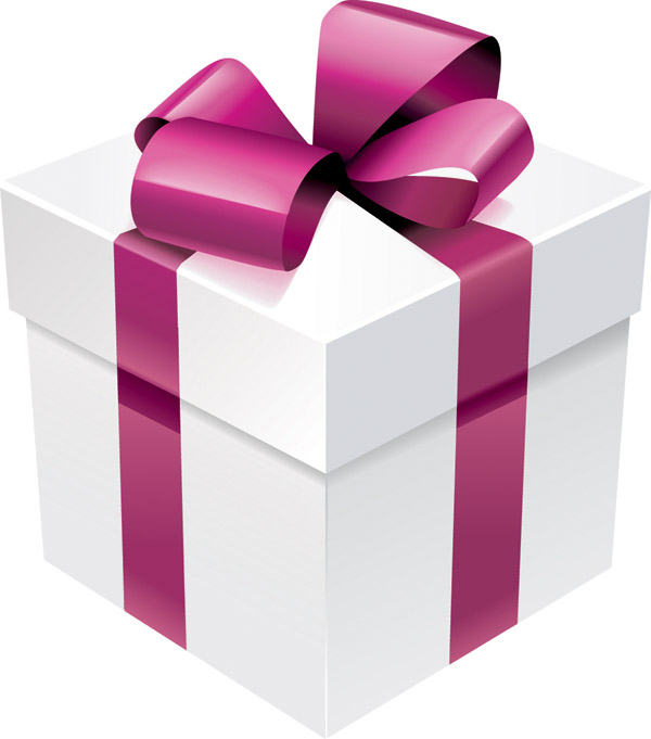 beautiful gift box vector