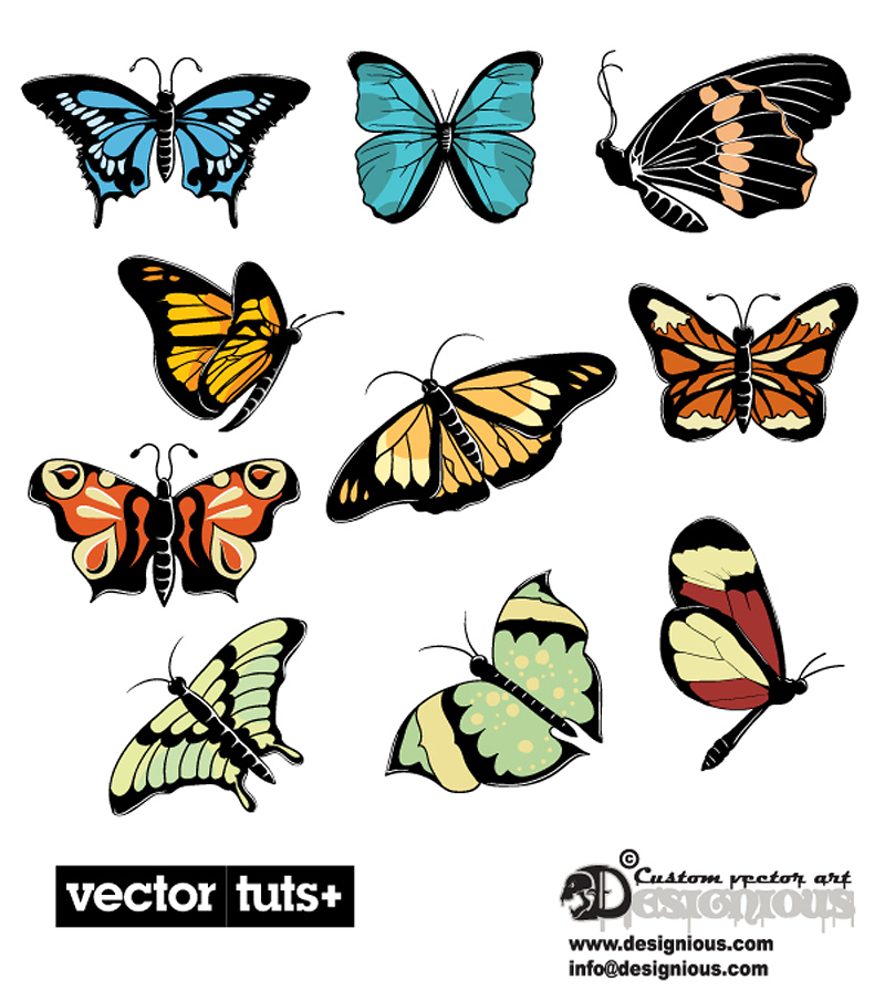 beautiful butterflies vector