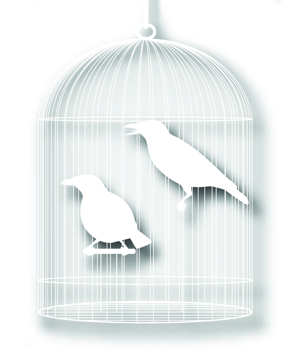 bird cage with papercuts vector