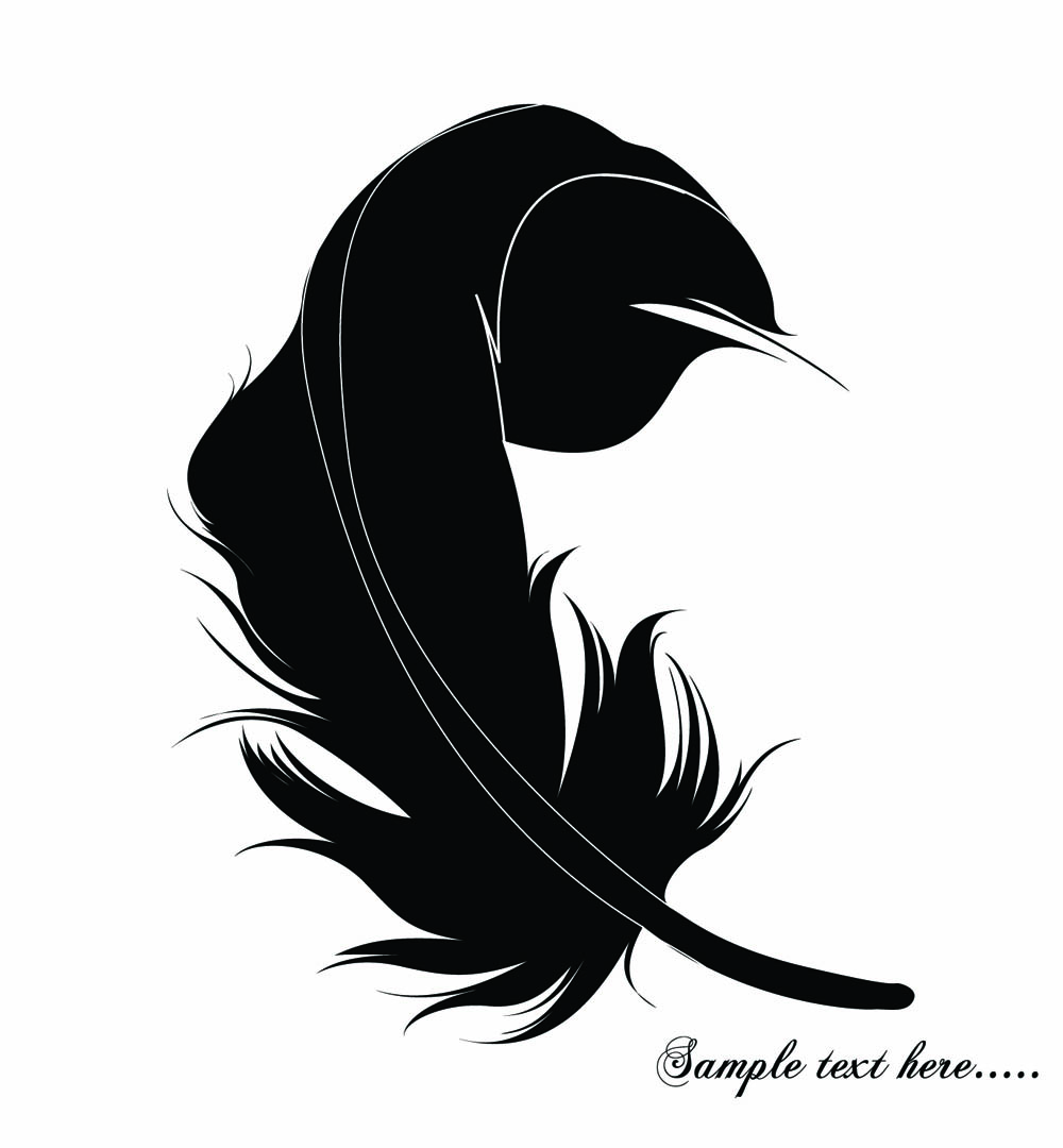 feathers 03 vector