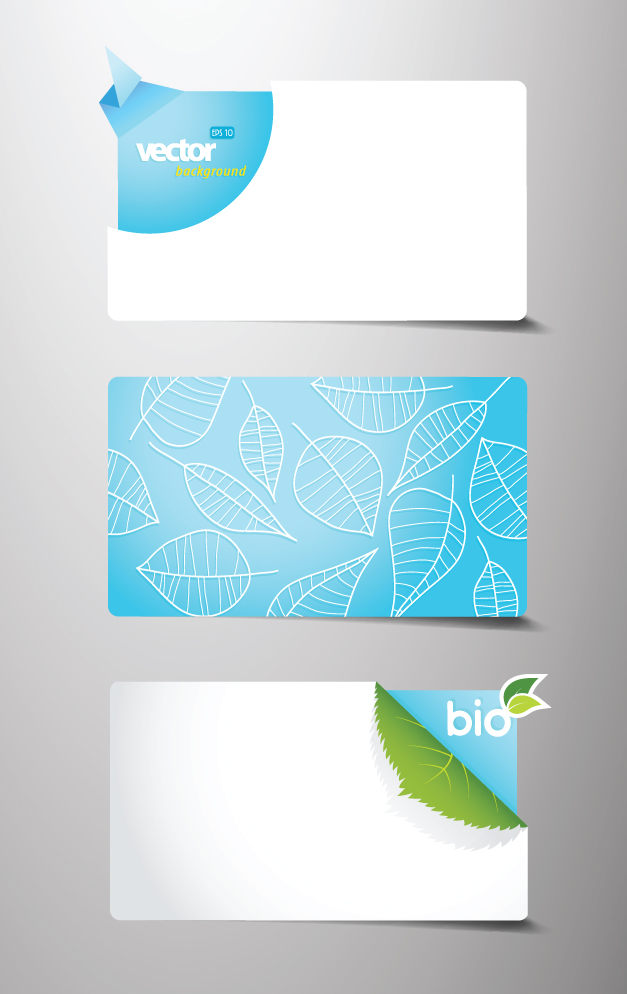 beautiful card template 01 vector