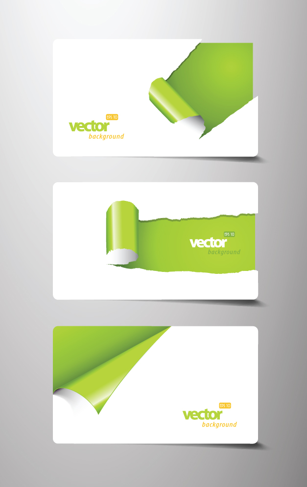 beautiful card template 05 vector