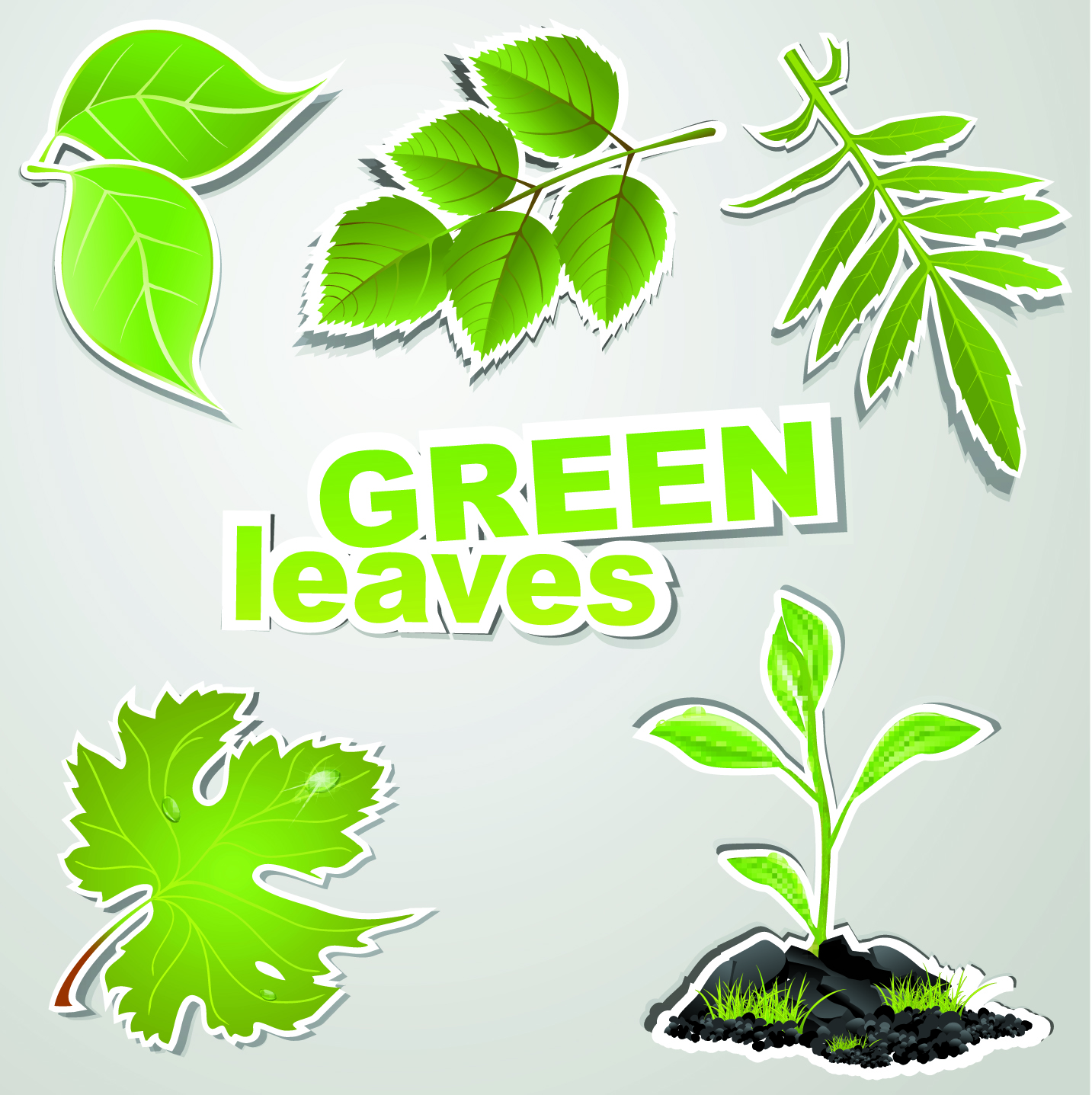 fine leaf label 02 vector