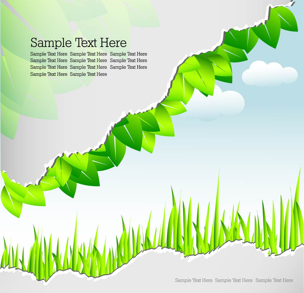 roll angle and leaves 04 vector