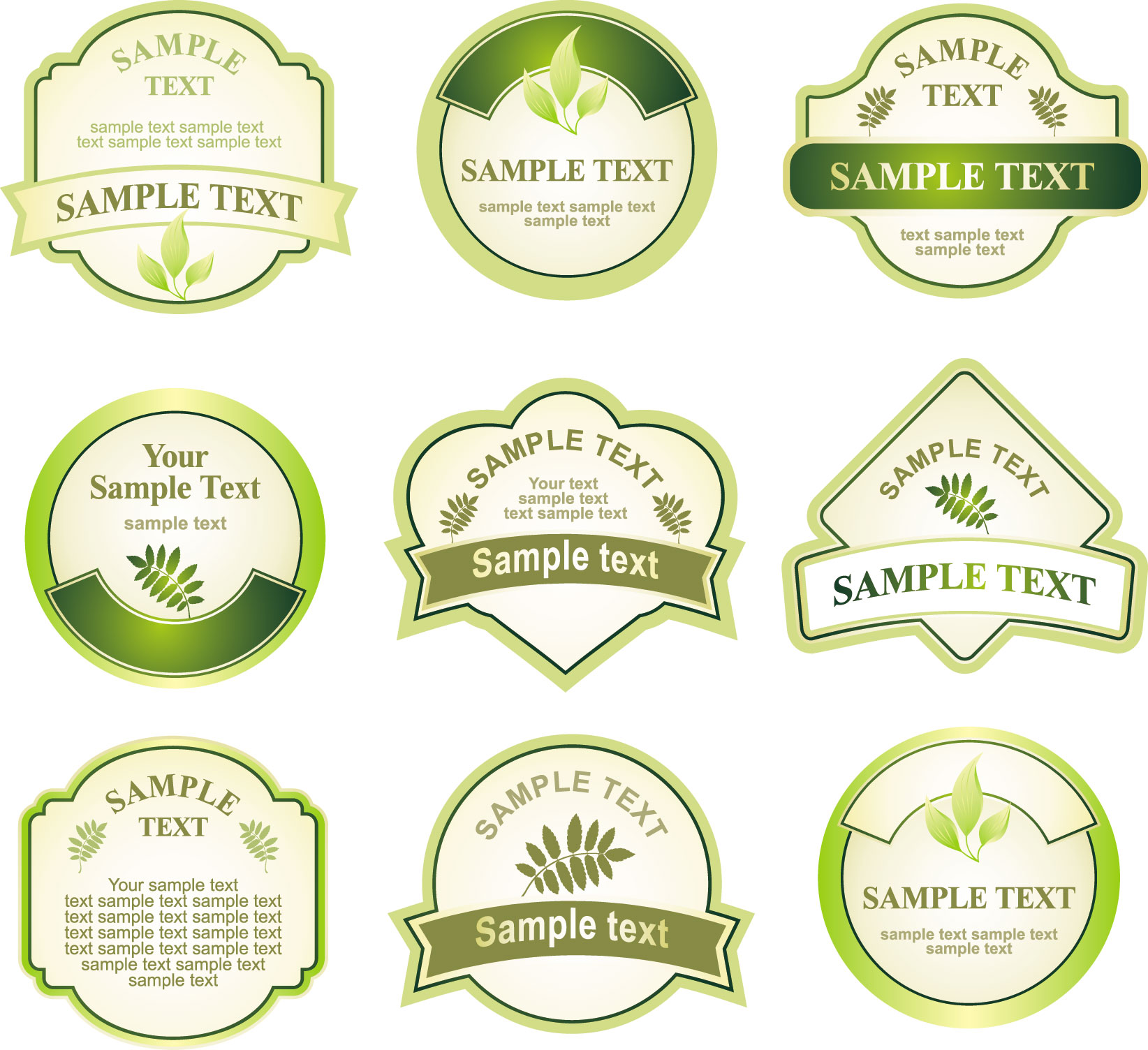 green bottle label vector