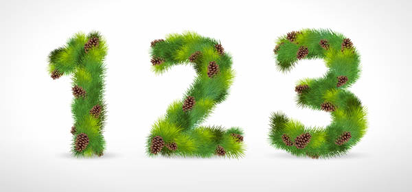 composed of pine numbers vector