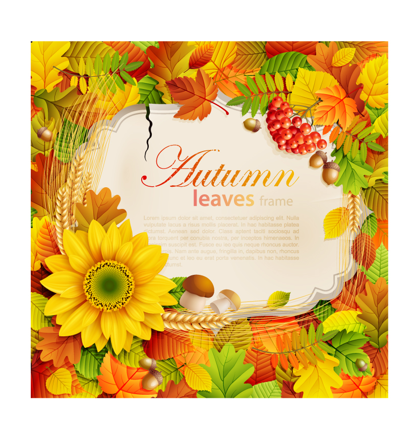 beautiful autumn leaves frame background 07 vector