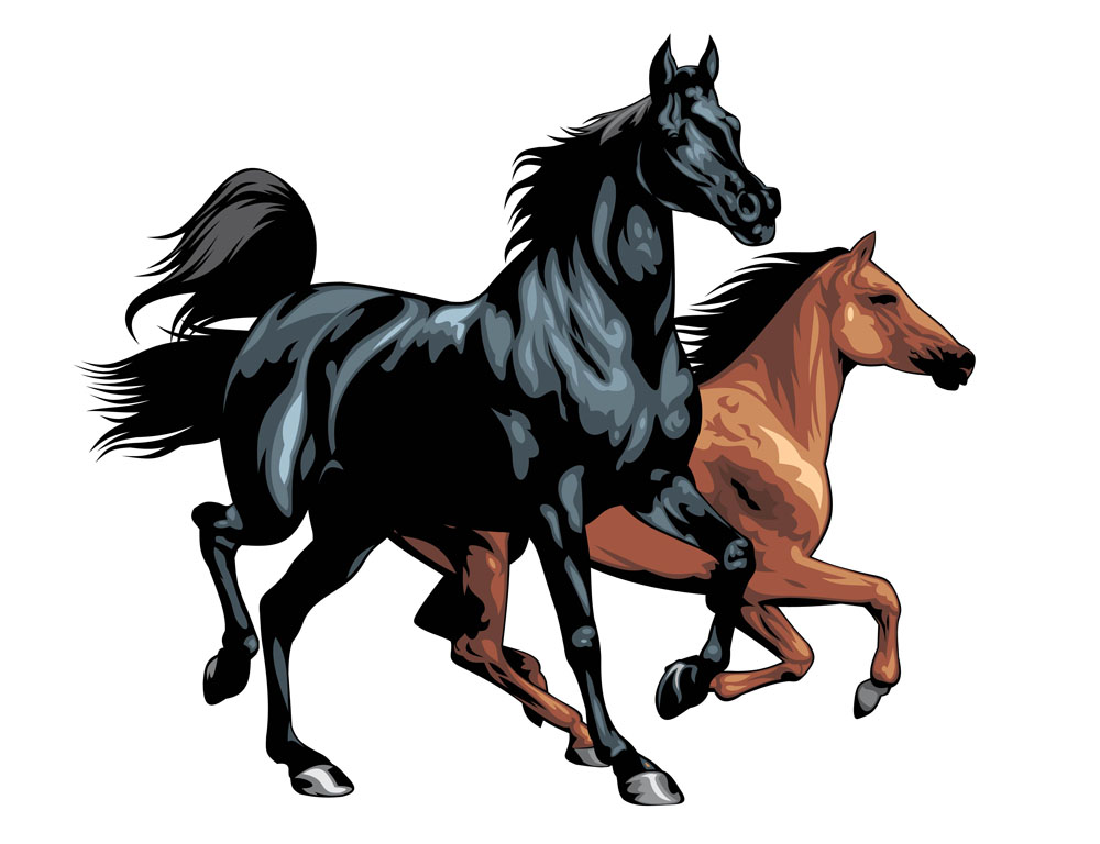 horse 03 vector