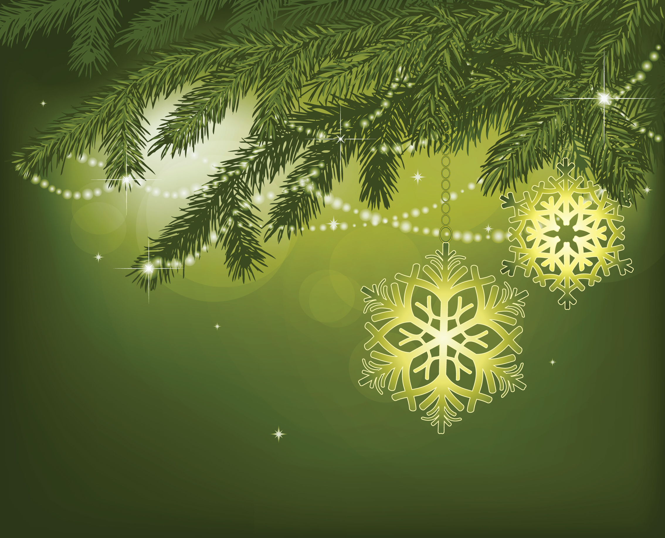 elegant snowflake ornaments vector