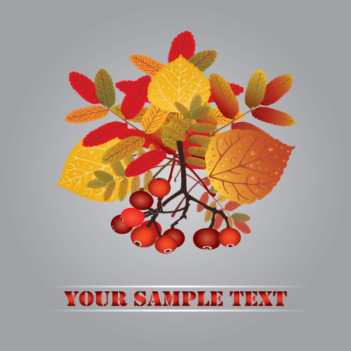 autumn fruit autumn leaves 01 vector