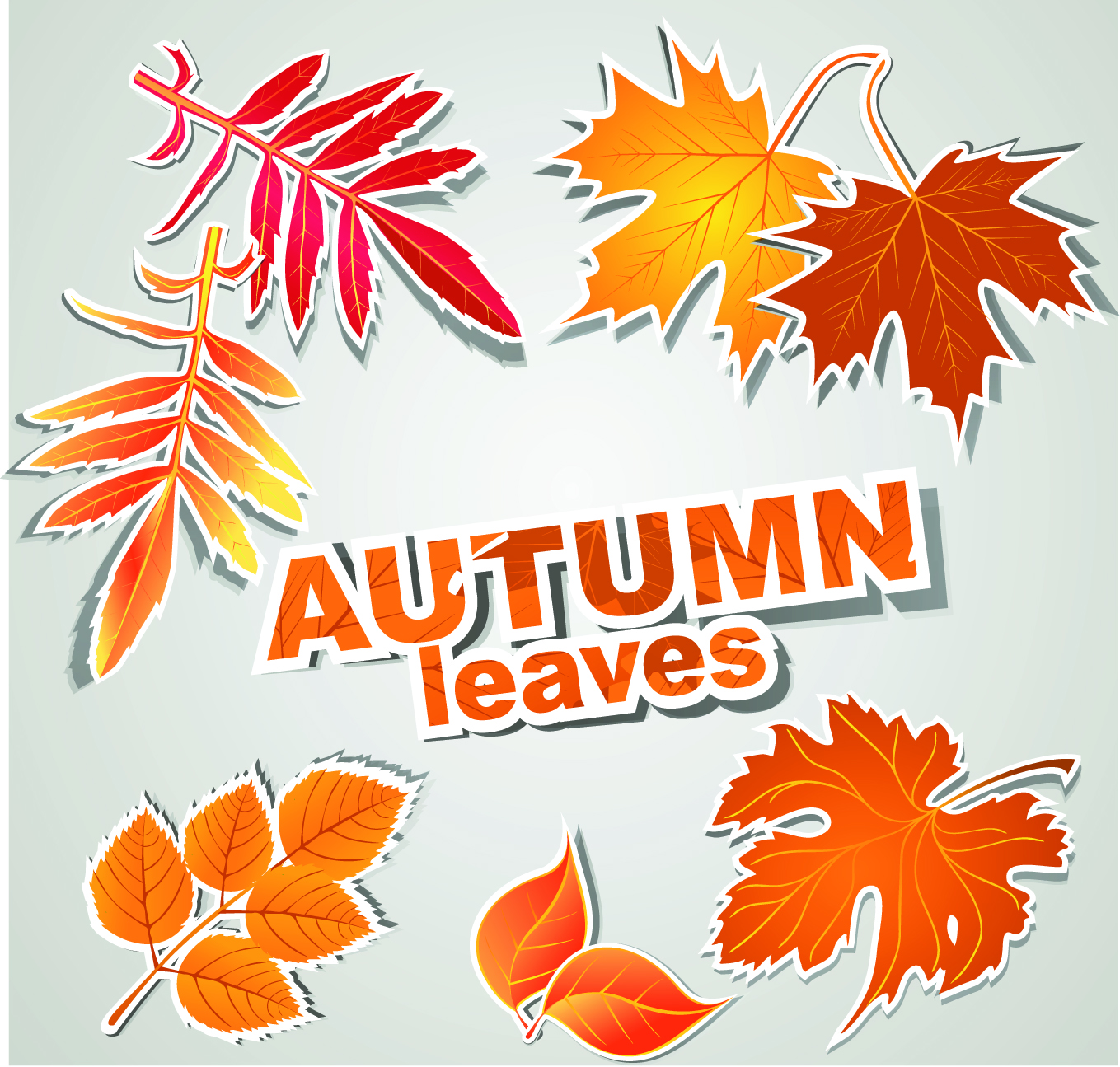 fine leaf label 01 vector