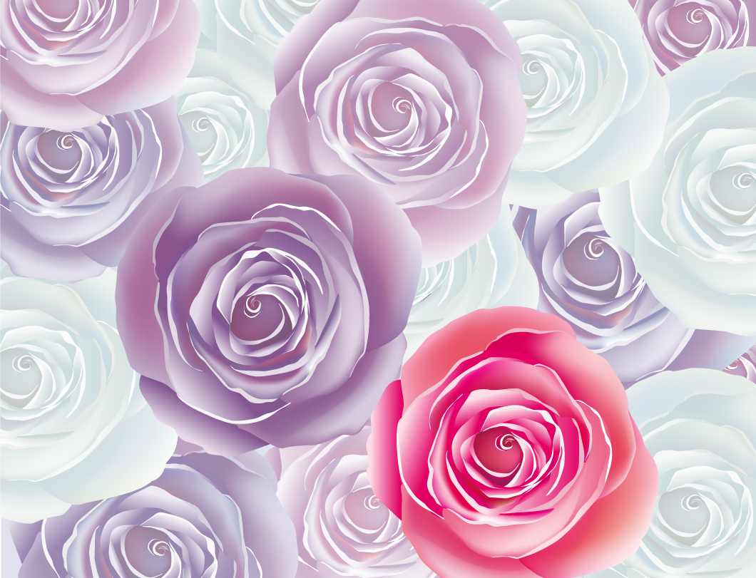 beautiful roses 01 vector