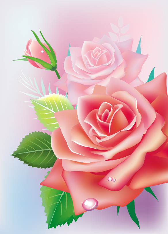 beautiful roses 02 vector