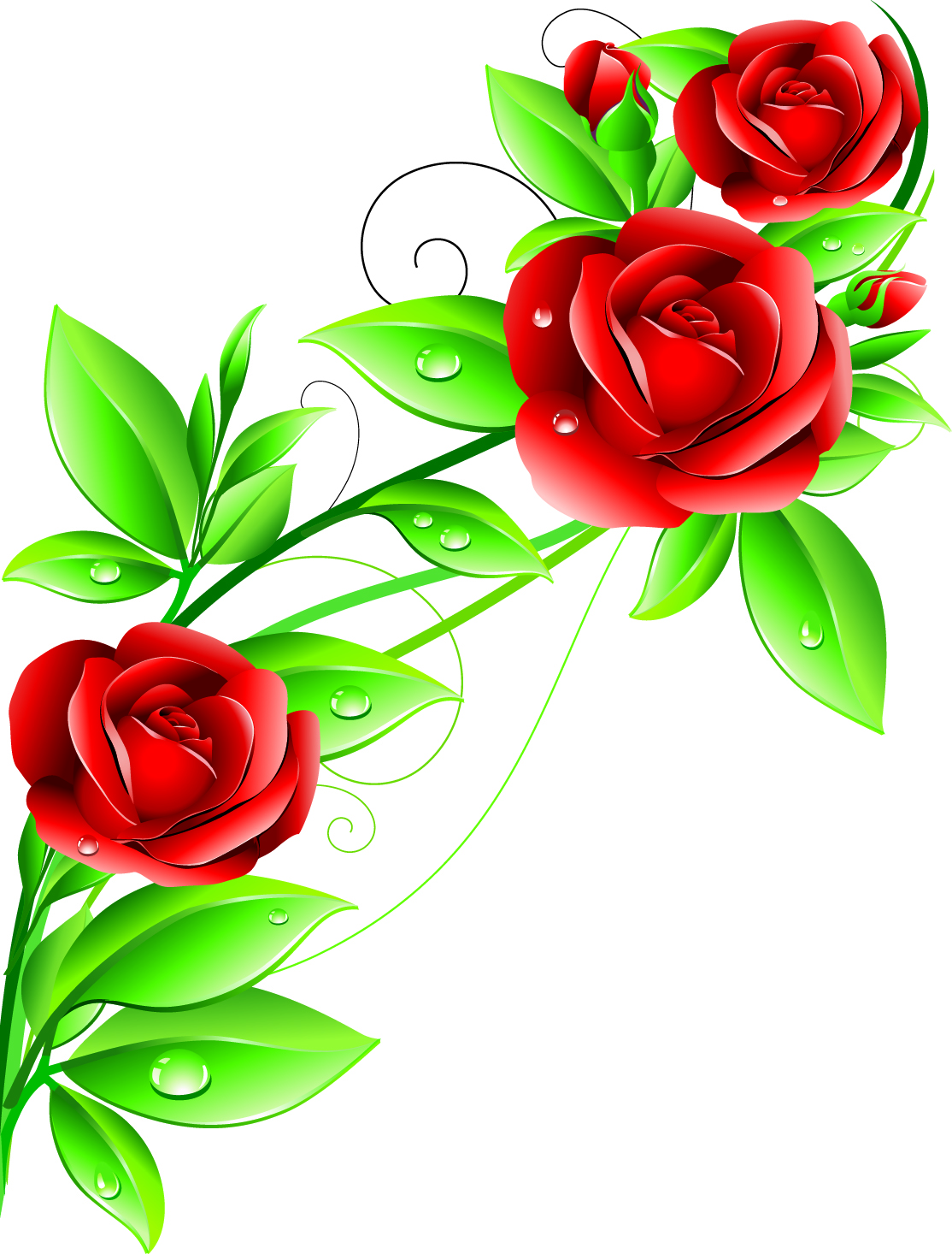 beautiful flowers 02 vector