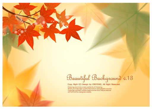 2 maple leaf background vector