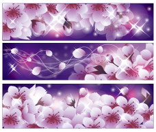 romantic flower vector background