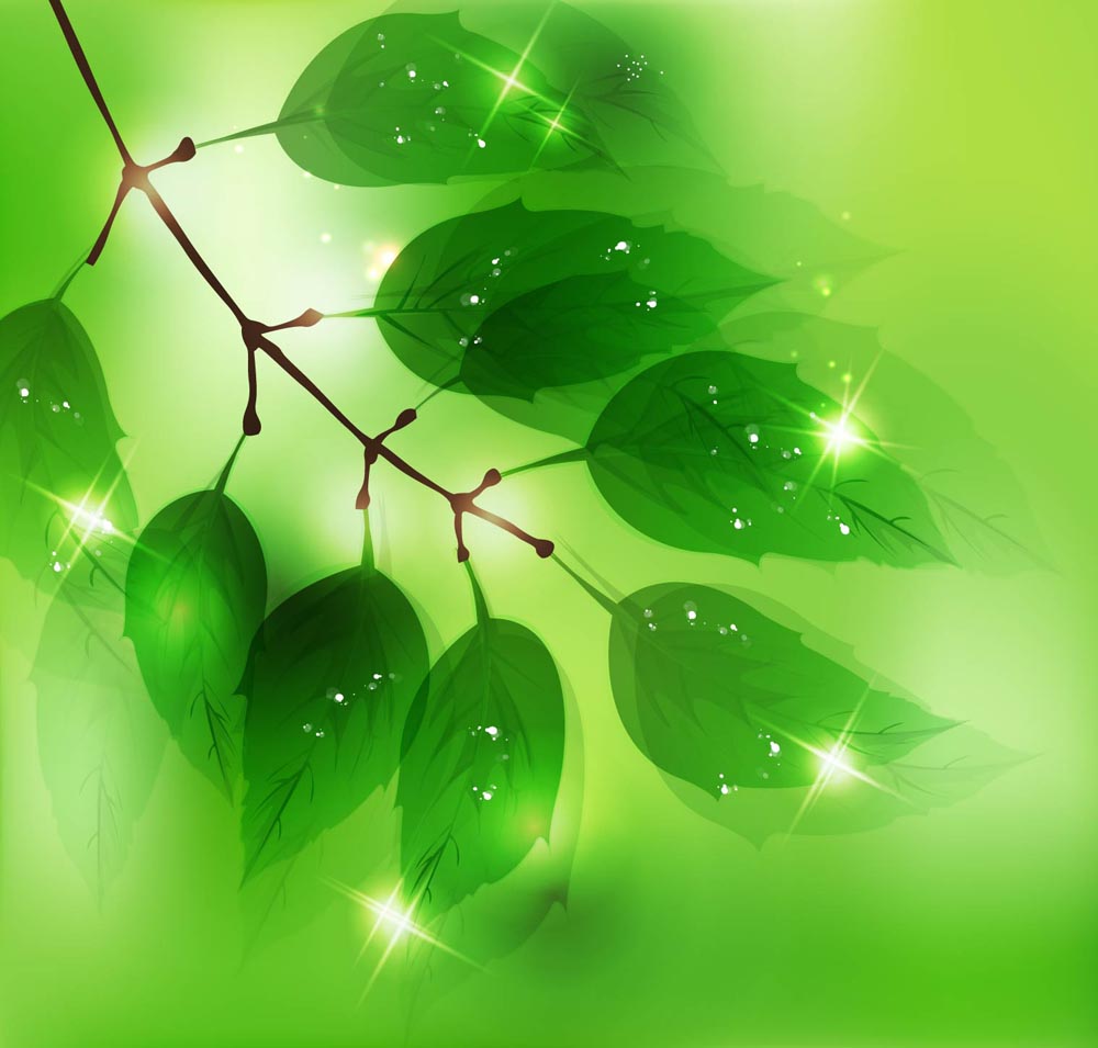 green halo background 04 vector