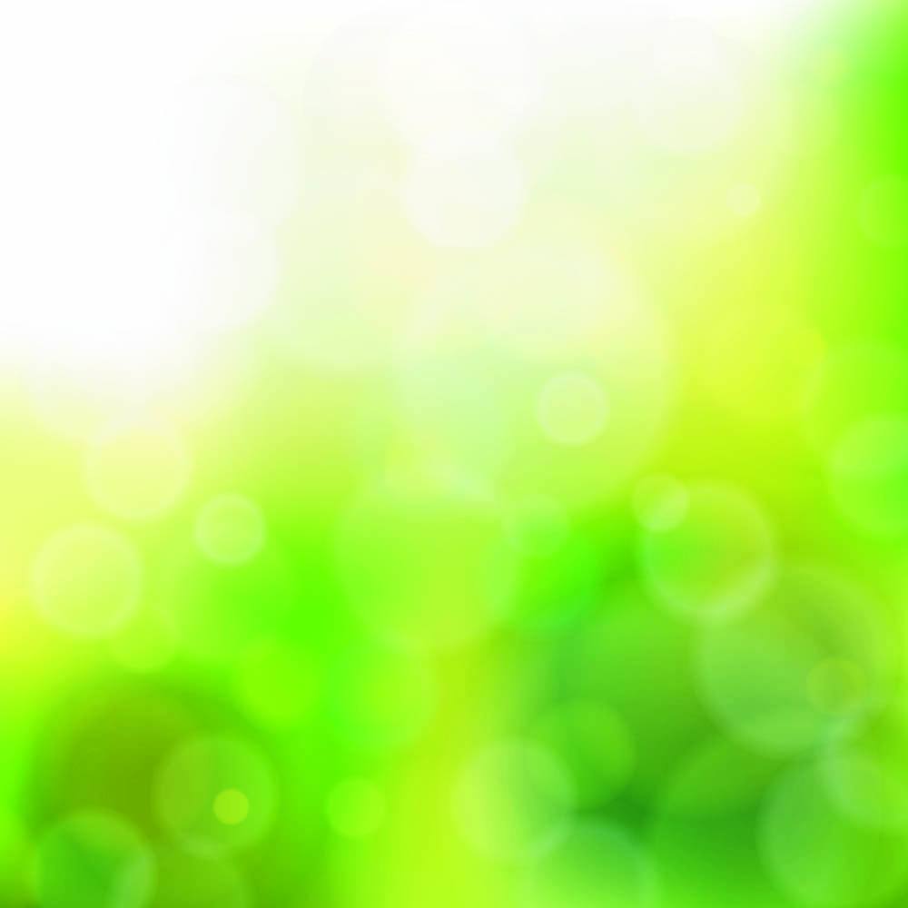 green natural blur the background 04 vector