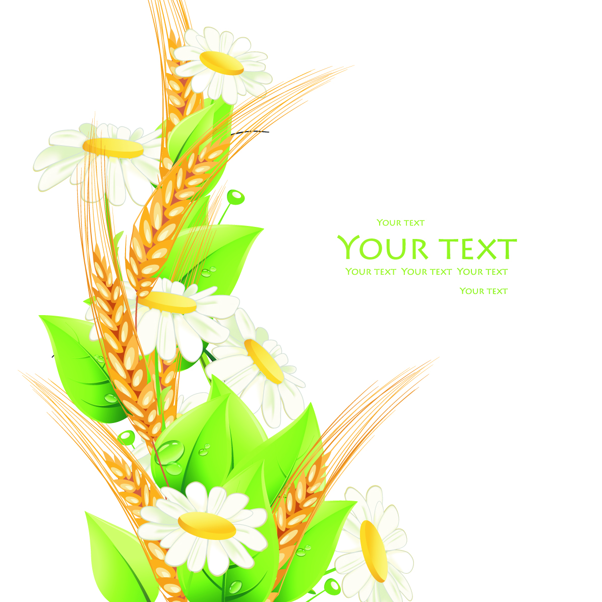 beautiful flowers background 03 vector