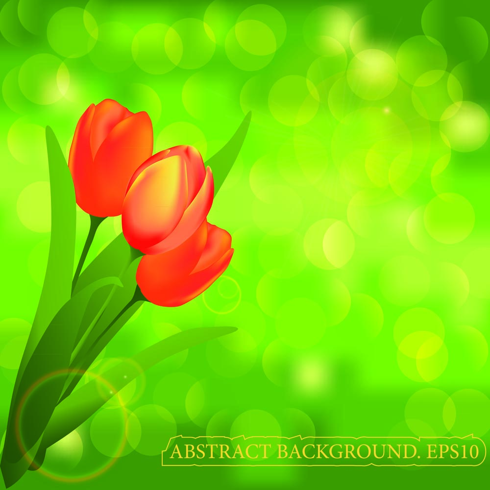 beautiful flower background vector