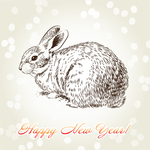 2011 rabbit image background vector