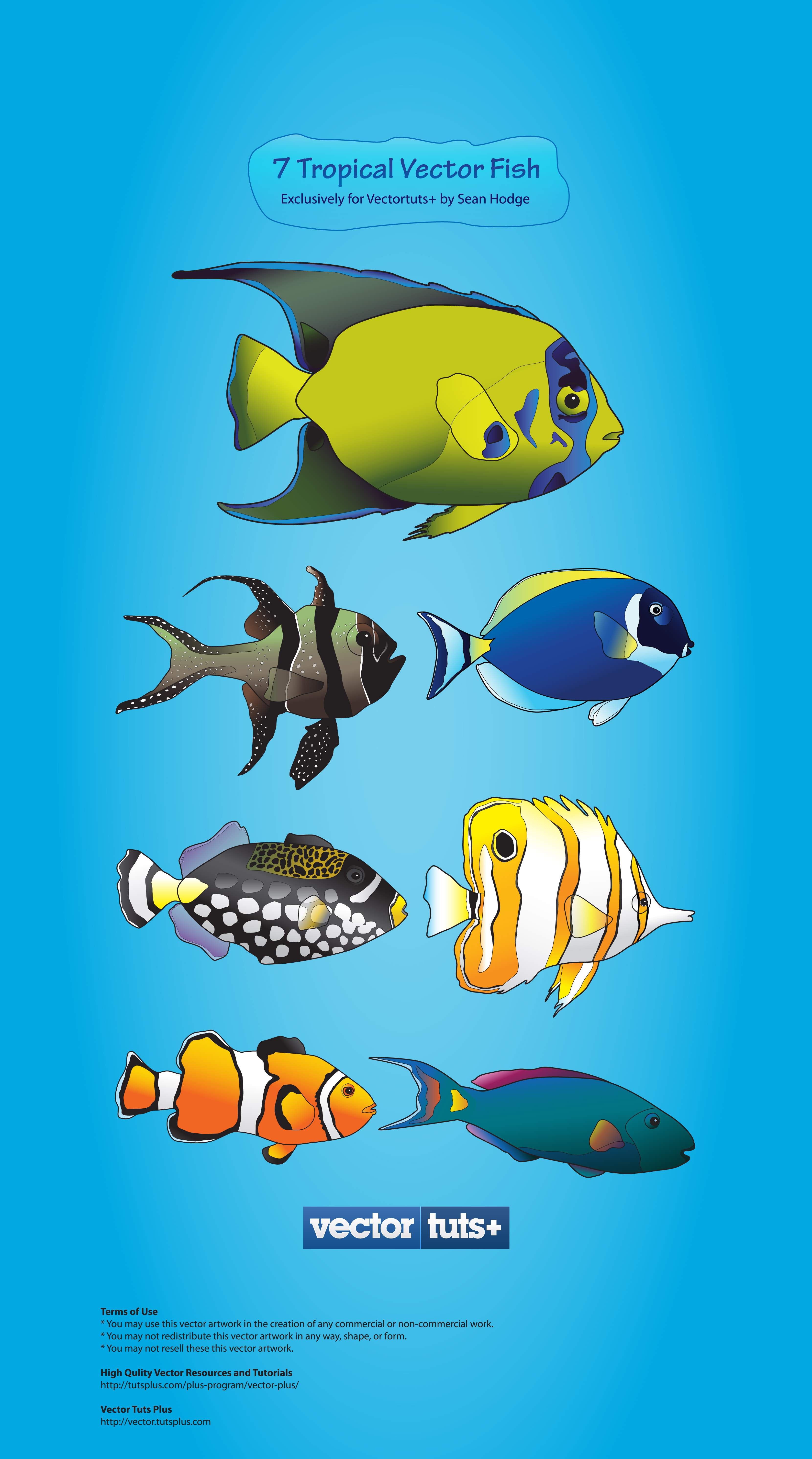 cartoon marine fish vector