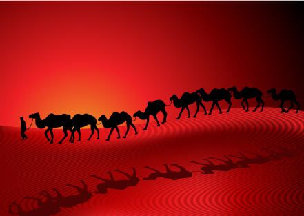 desert camel silhouette vector