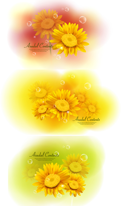 chrysanthemum vector dream