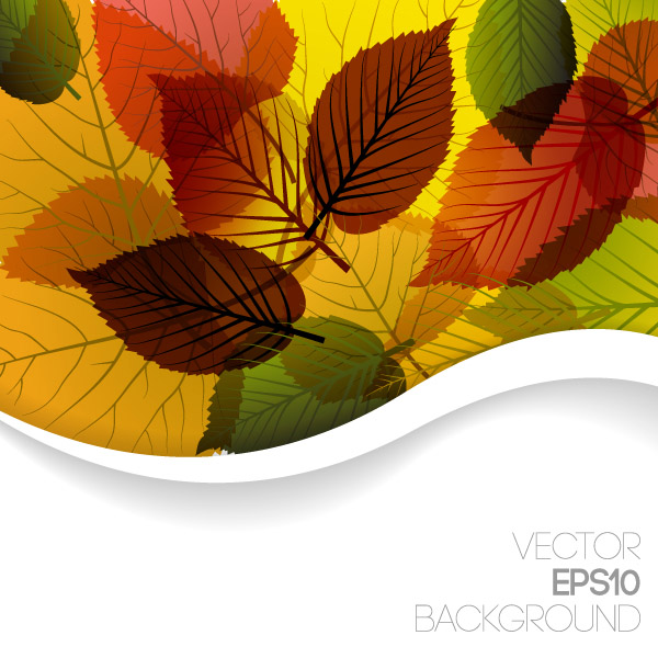 autumn leaves vector 3 graphic design