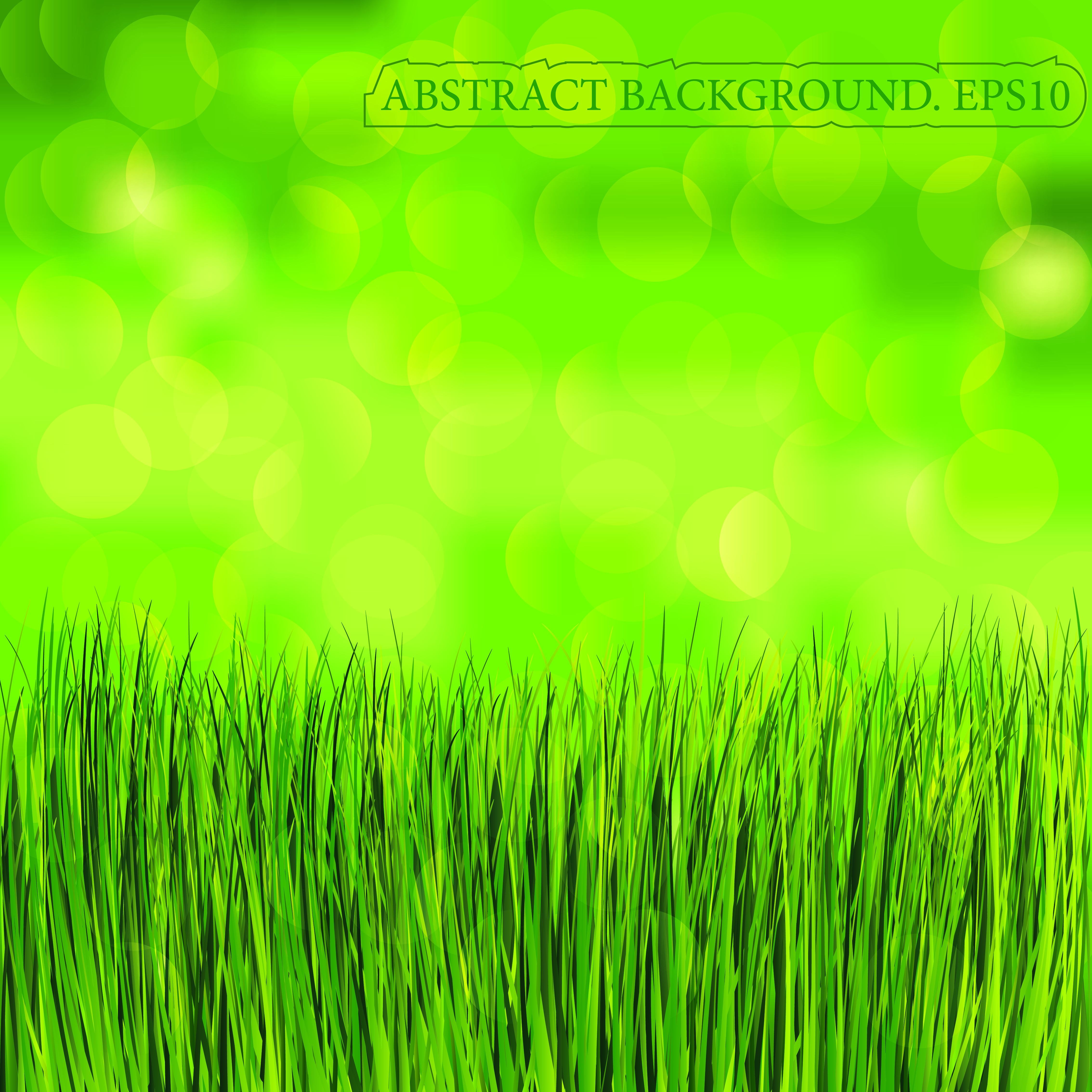 green grass background vector